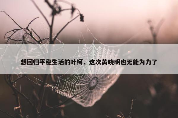 想回归平稳生活的叶柯，这次黄晓明也无能为力了