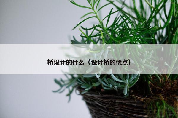 桥设计的什么（设计桥的优点）