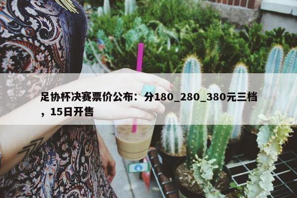 足协杯决赛票价公布：分180_280_380元三档，15日开售