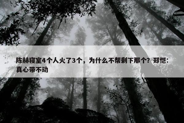 陈赫寝室4个人火了3个，为什么不帮剩下那个？郑恺：真心带不动