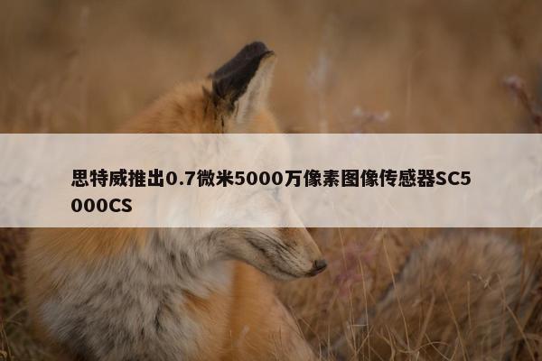 思特威推出0.7微米5000万像素图像传感器SC5000CS