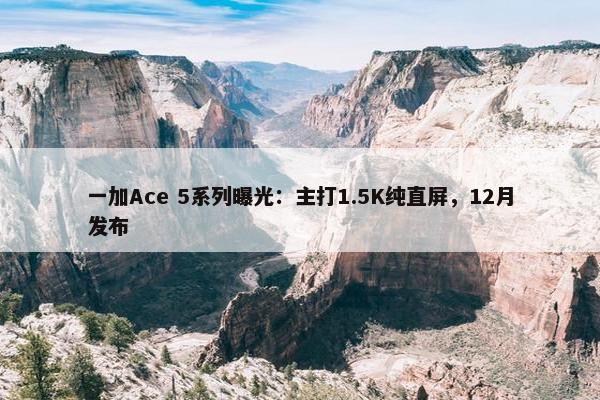 一加Ace 5系列曝光：主打1.5K纯直屏，12月发布