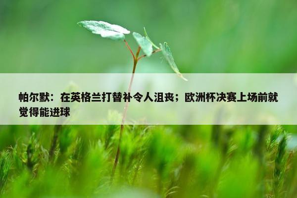 帕尔默：在英格兰打替补令人沮丧；欧洲杯决赛上场前就觉得能进球