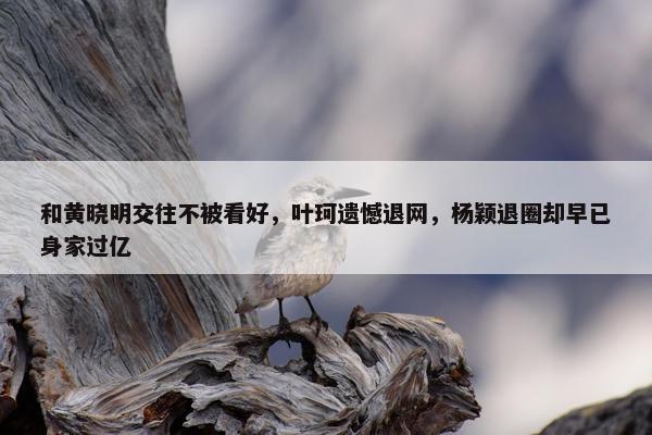 和黄晓明交往不被看好，叶珂遗憾退网，杨颖退圈却早已身家过亿