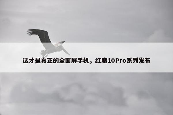 这才是真正的全面屏手机，红魔10Pro系列发布