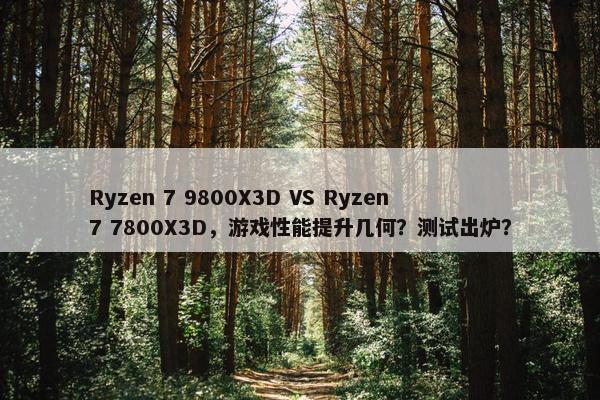 Ryzen 7 9800X3D VS Ryzen 7 7800X3D，游戏性能提升几何？测试出炉？