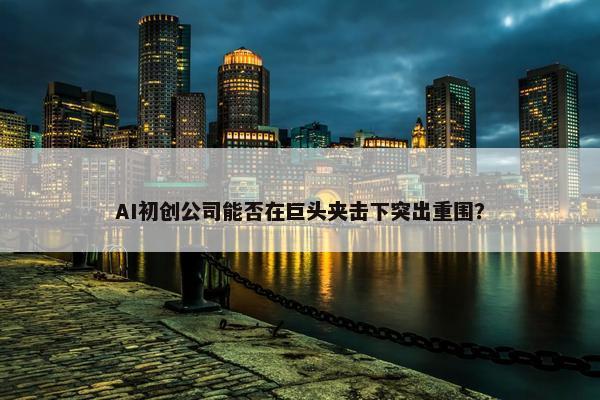 AI初创公司能否在巨头夹击下突出重围？