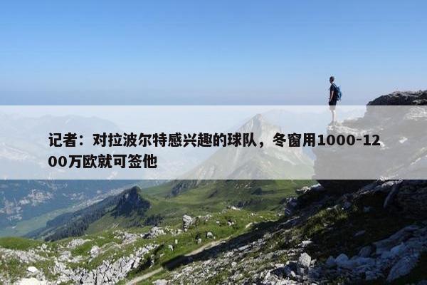 记者：对拉波尔特感兴趣的球队，冬窗用1000-1200万欧就可签他