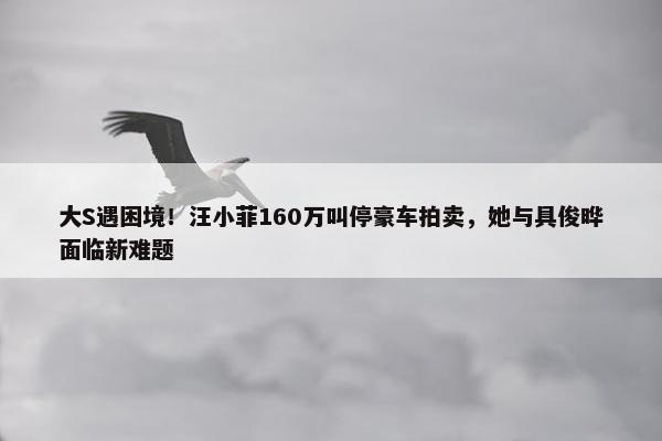 大S遇困境！汪小菲160万叫停豪车拍卖，她与具俊晔面临新难题