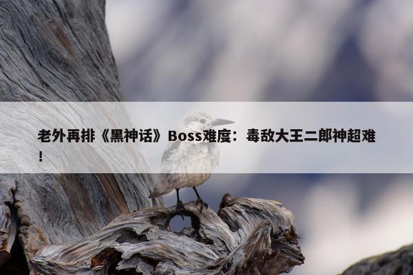 老外再排《黑神话》Boss难度：毒敌大王二郎神超难！