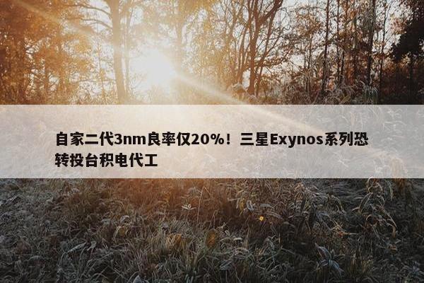 自家二代3nm良率仅20%！三星Exynos系列恐转投台积电代工