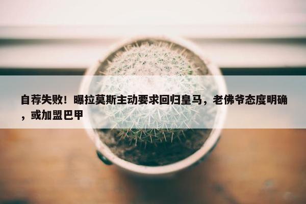 自荐失败！曝拉莫斯主动要求回归皇马，老佛爷态度明确，或加盟巴甲