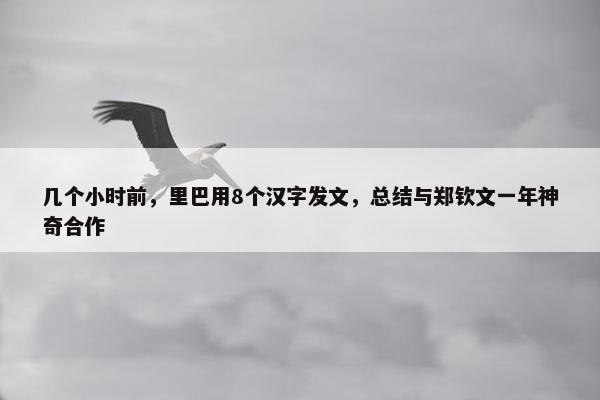 几个小时前，里巴用8个汉字发文，总结与郑钦文一年神奇合作