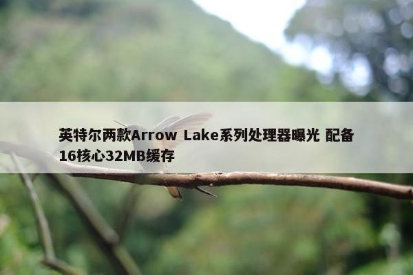 英特尔两款Arrow Lake系列处理器曝光 配备16核心32MB缓存