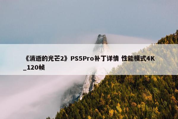 《消逝的光芒2》PS5Pro补丁详情 性能模式4K_120帧