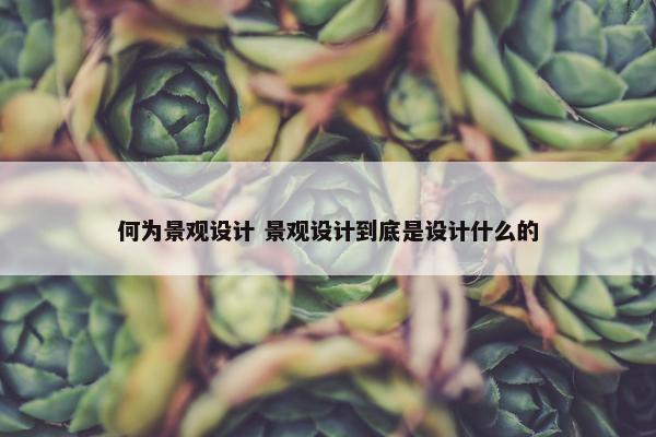 何为景观设计 景观设计到底是设计什么的