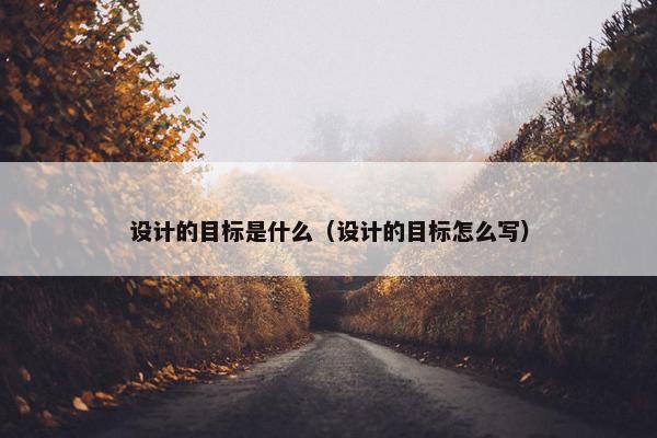 设计的目标是什么（设计的目标怎么写）