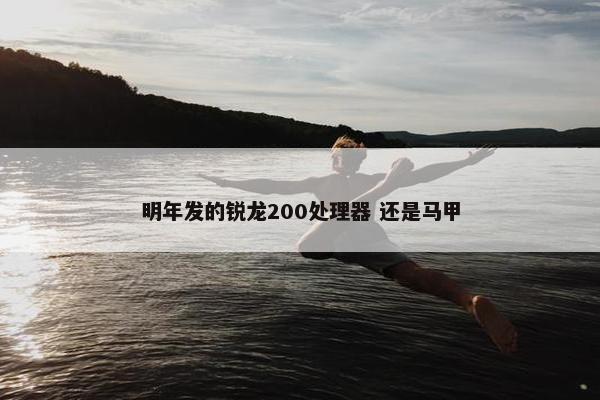 明年发的锐龙200处理器 还是马甲