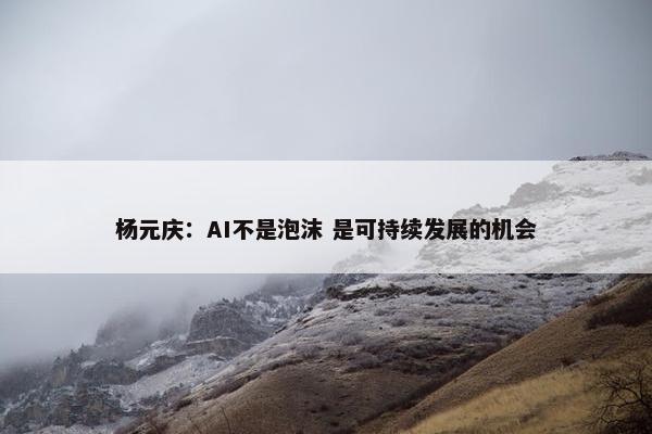 杨元庆：AI不是泡沫 是可持续发展的机会