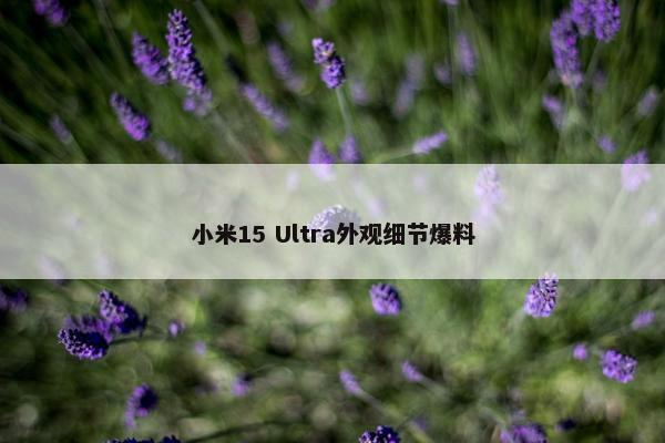 小米15 Ultra外观细节爆料