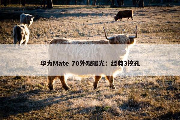 华为Mate 70外观曝光：经典3挖孔