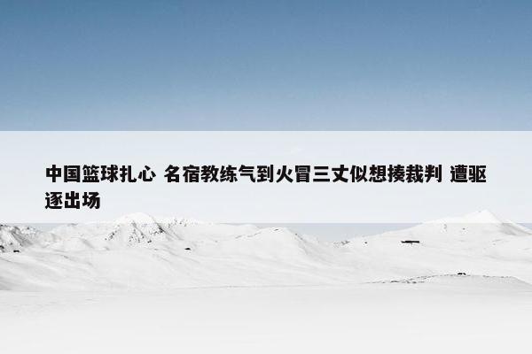 中国篮球扎心 名宿教练气到火冒三丈似想揍裁判 遭驱逐出场