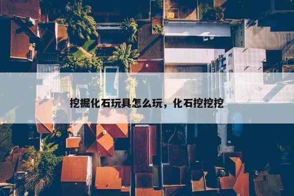 挖掘化石玩具怎么玩，化石挖挖挖