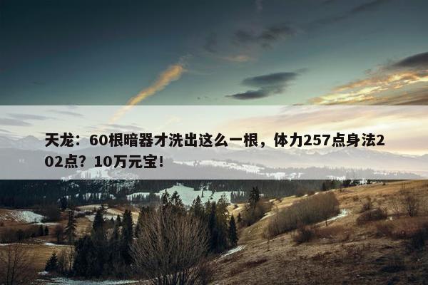 天龙：60根暗器才洗出这么一根，体力257点身法202点？10万元宝！