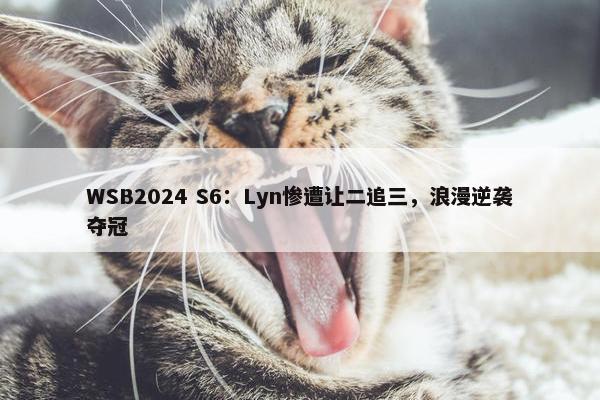 WSB2024 S6：Lyn惨遭让二追三，浪漫逆袭夺冠