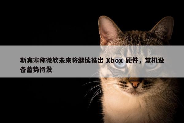 斯宾塞称微软未来将继续推出 Xbox 硬件，掌机设备蓄势待发