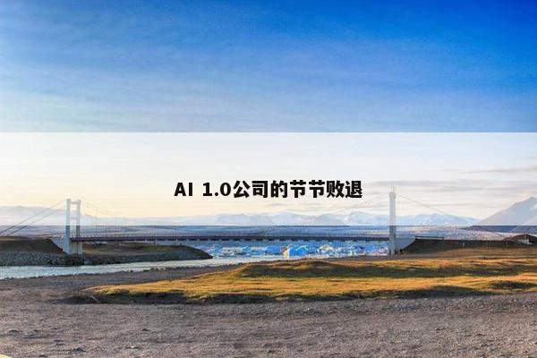 AI 1.0公司的节节败退