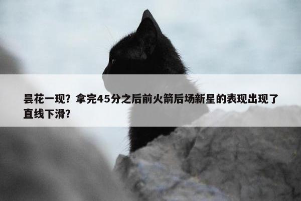 昙花一现？拿完45分之后前火箭后场新星的表现出现了直线下滑？