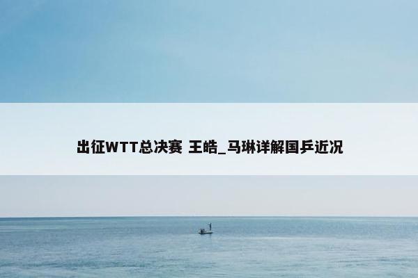 出征WTT总决赛 王皓_马琳详解国乒近况