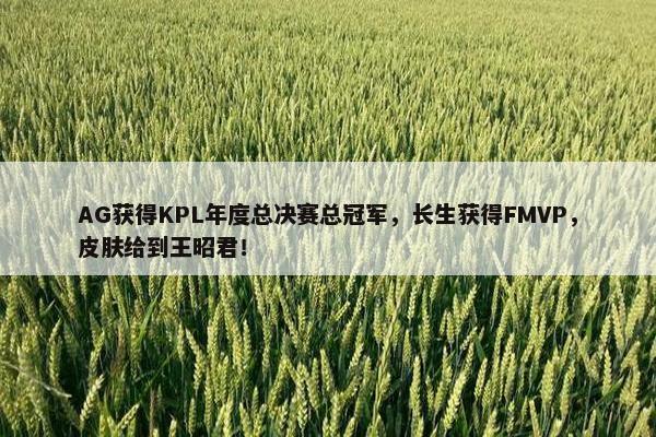 AG获得KPL年度总决赛总冠军，长生获得FMVP，皮肤给到王昭君！