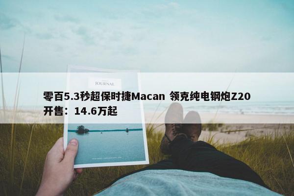 零百5.3秒超保时捷Macan 领克纯电钢炮Z20开售：14.6万起