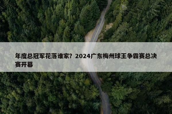 年度总冠军花落谁家？2024广东梅州球王争霸赛总决赛开幕