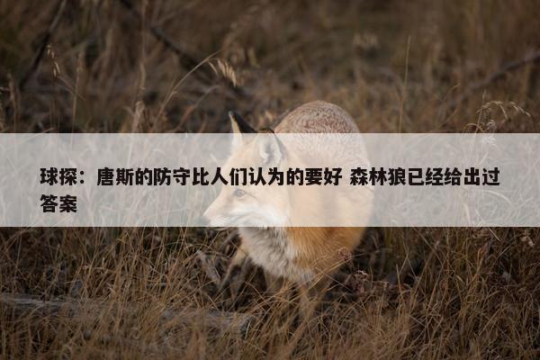 球探：唐斯的防守比人们认为的要好 森林狼已经给出过答案