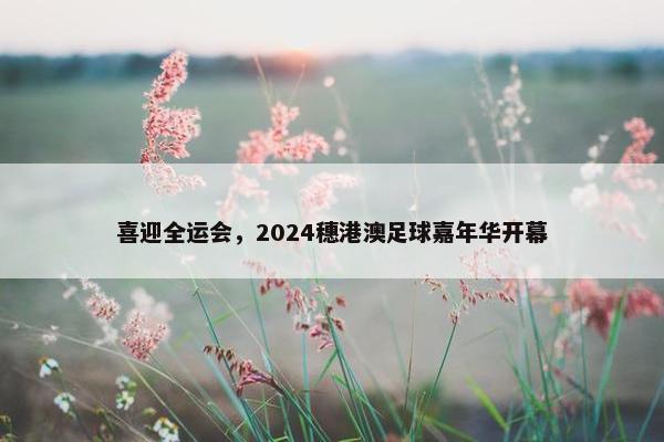 喜迎全运会，2024穗港澳足球嘉年华开幕