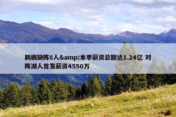 鹈鹕缺阵8人&本季薪资总额达1.24亿 对阵湖人首发薪资4550万