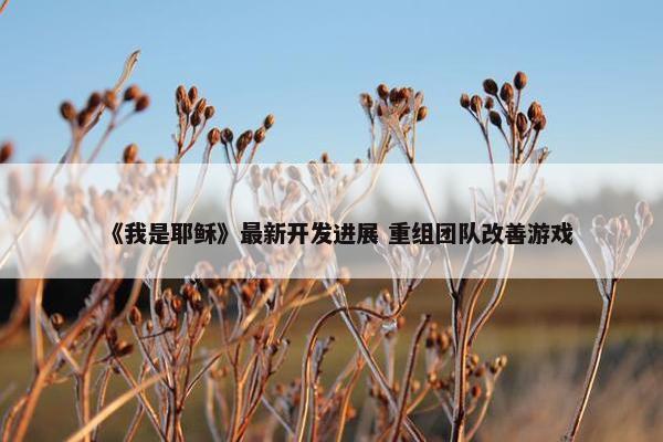 《我是耶稣》最新开发进展 重组团队改善游戏