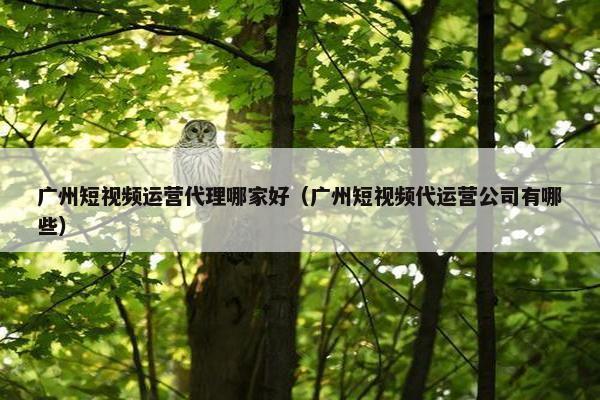 广州短视频运营代理哪家好（广州短视频代运营公司有哪些）