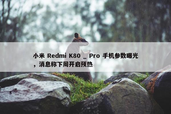 小米 Redmi K80 _ Pro 手机参数曝光，消息称下周开启预热