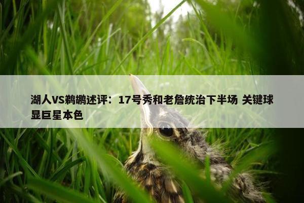 湖人VS鹈鹕述评：17号秀和老詹统治下半场 关键球显巨星本色