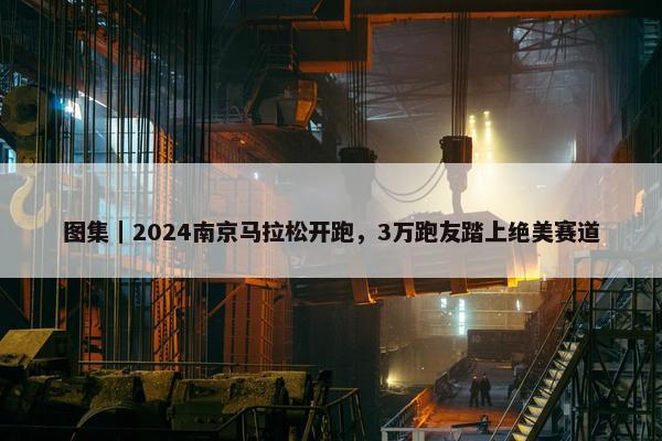 图集｜2024南京马拉松开跑，3万跑友踏上绝美赛道