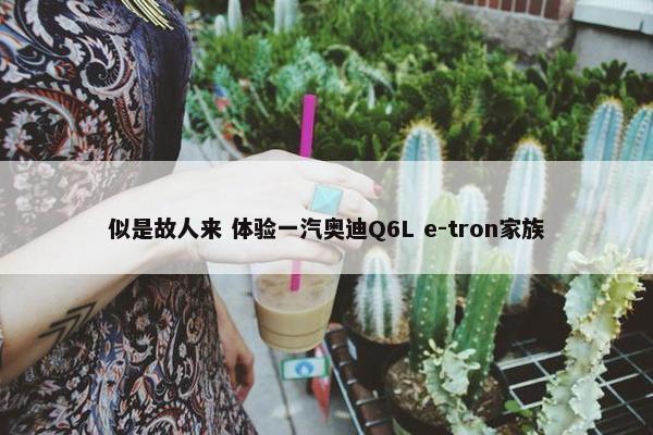 似是故人来 体验一汽奥迪Q6L e-tron家族