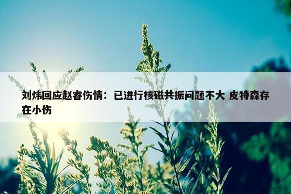 刘炜回应赵睿伤情：已进行核磁共振问题不大 皮特森存在小伤