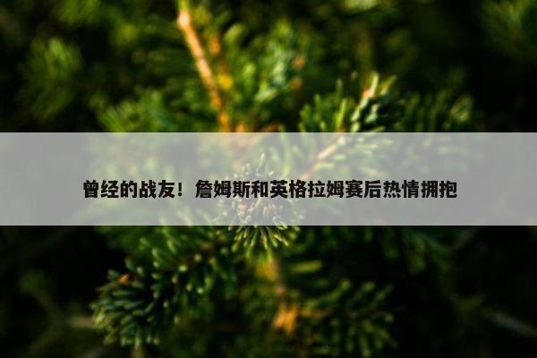 曾经的战友！詹姆斯和英格拉姆赛后热情拥抱