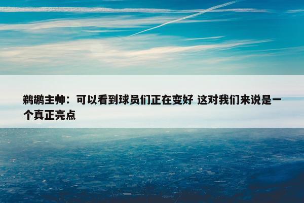 鹈鹕主帅：可以看到球员们正在变好 这对我们来说是一个真正亮点