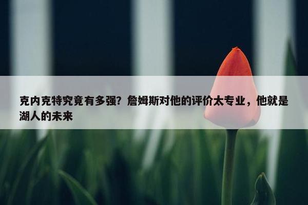 克内克特究竟有多强？詹姆斯对他的评价太专业，他就是湖人的未来