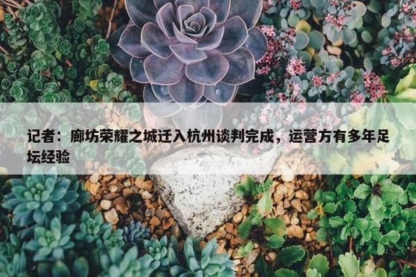 记者：廊坊荣耀之城迁入杭州谈判完成，运营方有多年足坛经验